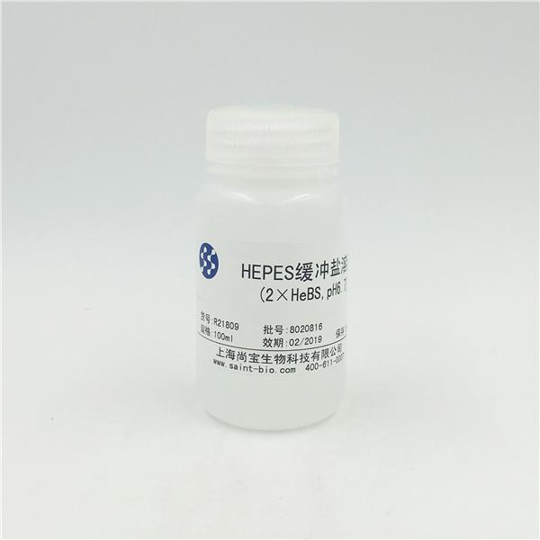 HEPES緩沖鹽溶液（2×HeBs，pH=6.7，無菌）